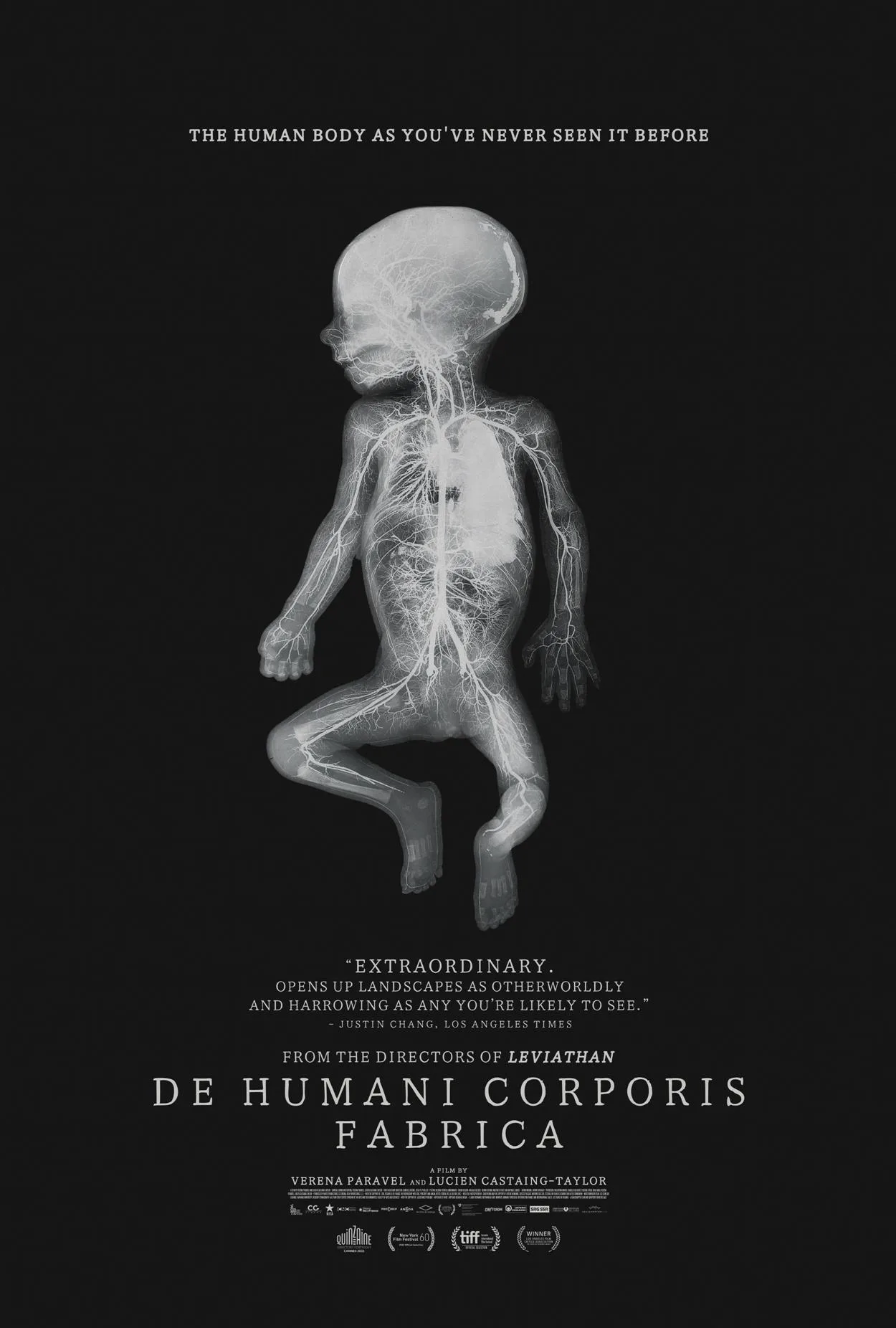 De Humani Corporis Fabrica